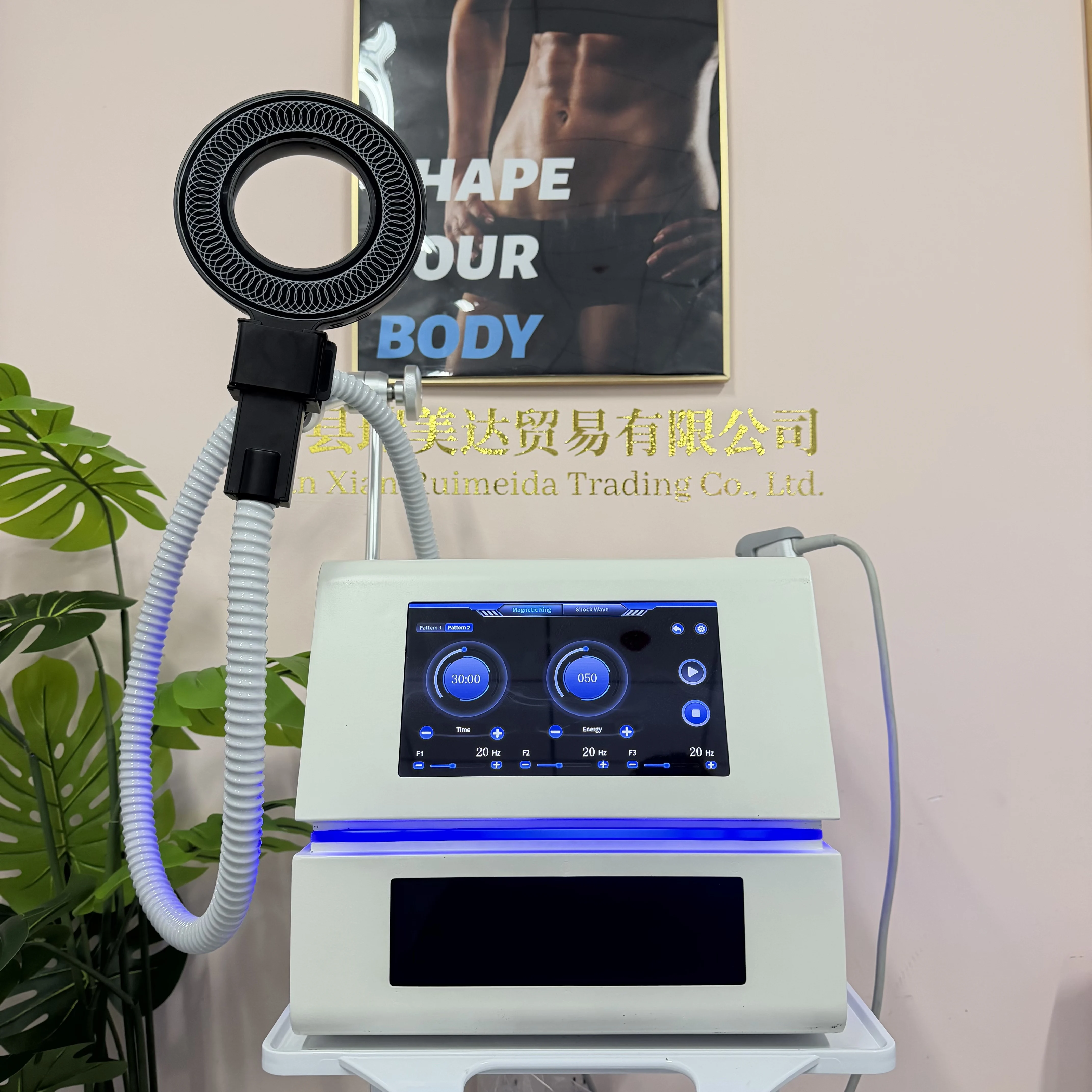 Máquina Portátil de Magnetoterapia EMTT para Fisioterapia, Alivio del Dolor por Lesiones Deportivas con PEMF - Dispositivo de Terapia No Invasiva