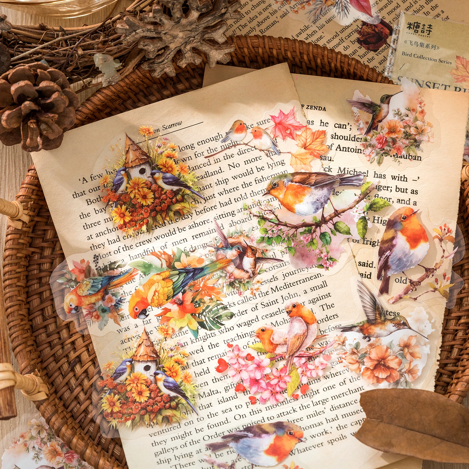 30 Stück/Packung Bird Collection Series PET-Material Aufkleber DIY Scrapbooking Dekor Junk Journal Supplies Aufkleber Briefpapier