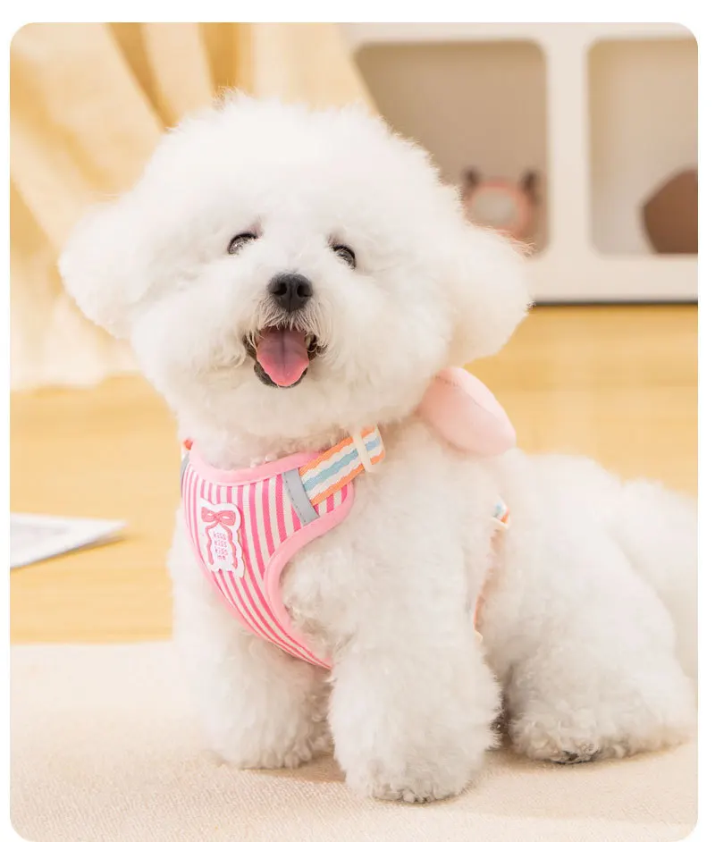 

Adjustable Puppy Dog Harness Traction Rope Set Cute Bow Design Outdoor Leashes for Small Medium Dogs