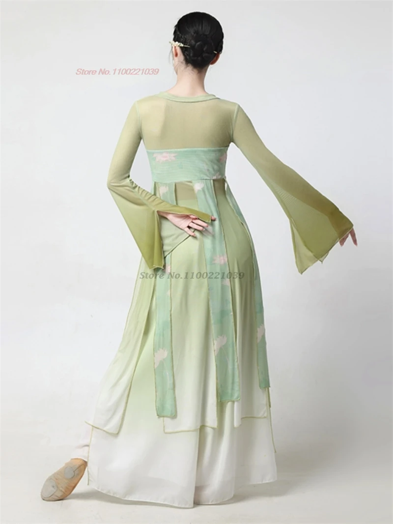 2025 중국 빈티지 민속 무용 의상 꽃 프린트 메쉬 hanfu 탑 + 바지 세트 빈티지 쉬폰 드레스 무대 공연 댄스 세트