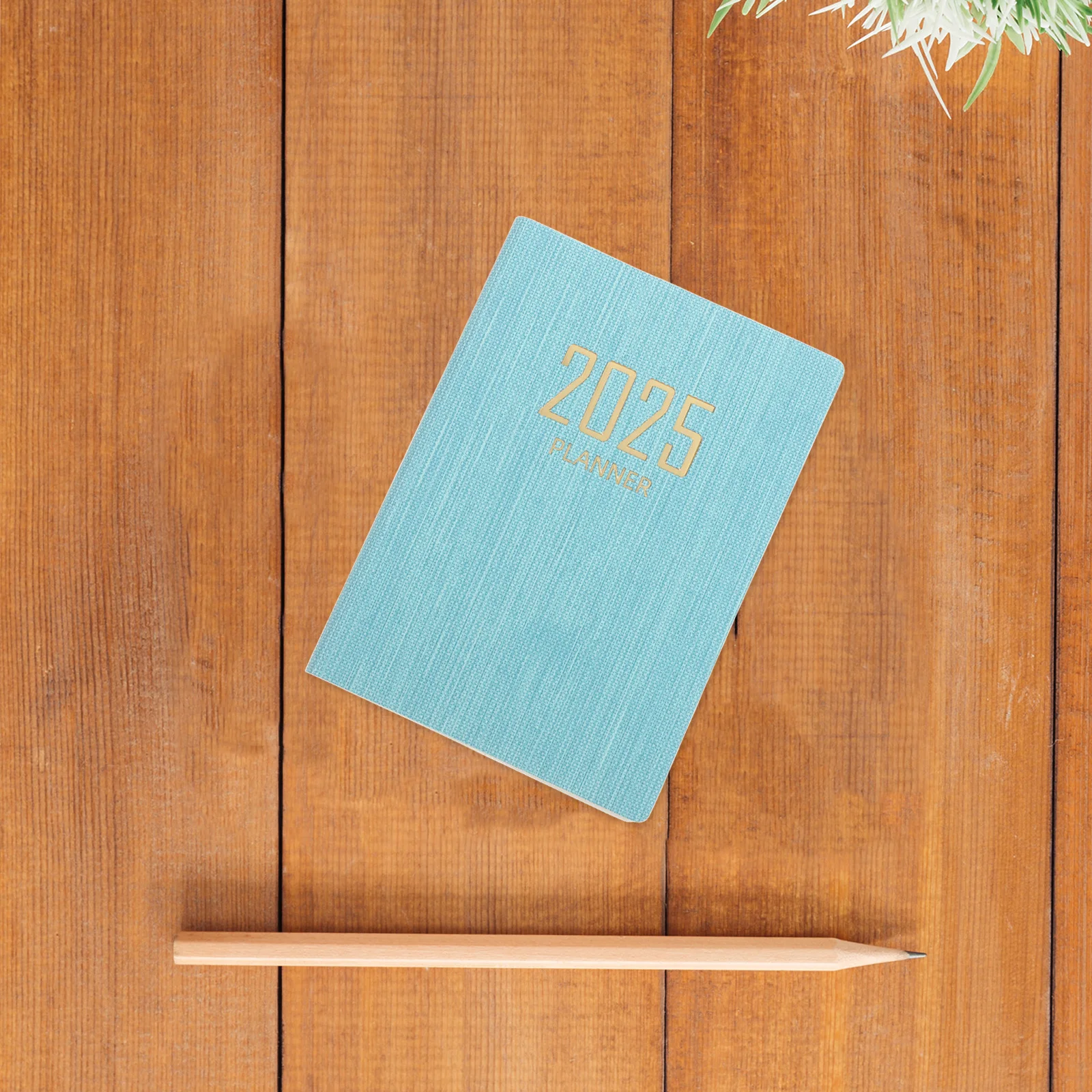 

Weekly Monthly Daily Hourly Pocket Calendar Appointment Book Thick Paper Faux Binding Sky-Blue 2025 Planner Business