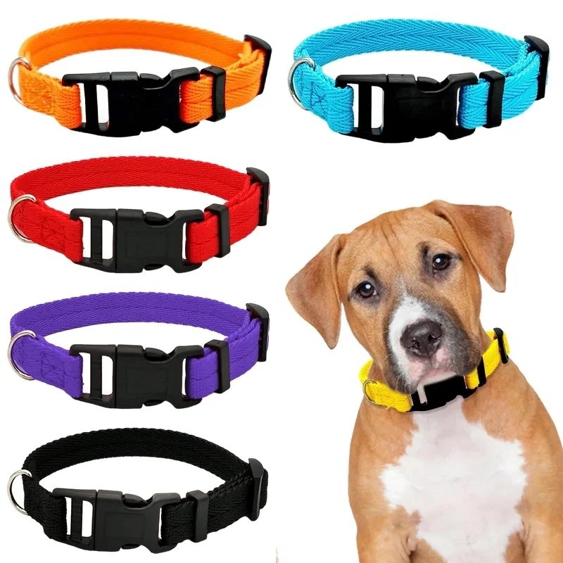 Nylon Webbing Dog Collar, Heavy Duty, Clip Buckle, Pet Collar para cães pequenos e médios, Chihuahua, vermelho, preto, azul, roxo