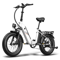 FAFREES Electric Bike 45km/h Adult Electric Bicycle 48V20.8Ah Dual Battery Fatbike Traction Aid Folding City E-bike FF20 Polar