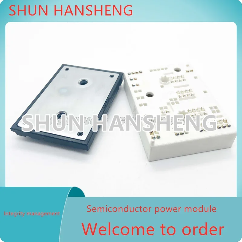 

NEW IGBT MODULE In Stock Quality Assurance SKIIP39ANB16V3 SKIIP39ANB16V2
