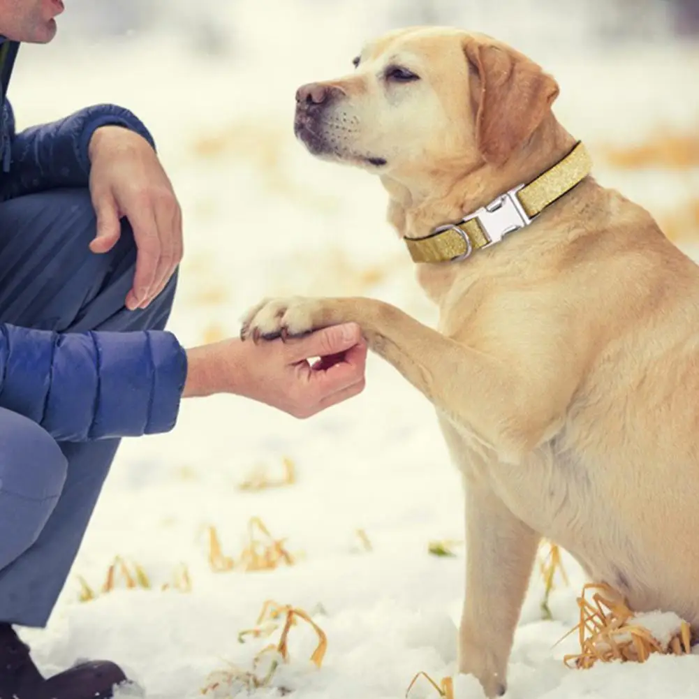 Dog Necklace Adjustable Self-engraving Puppy Collar Convenient Dress Up Nylon Sequin Bow Cats Dogs Neck Circle Pet Supplies