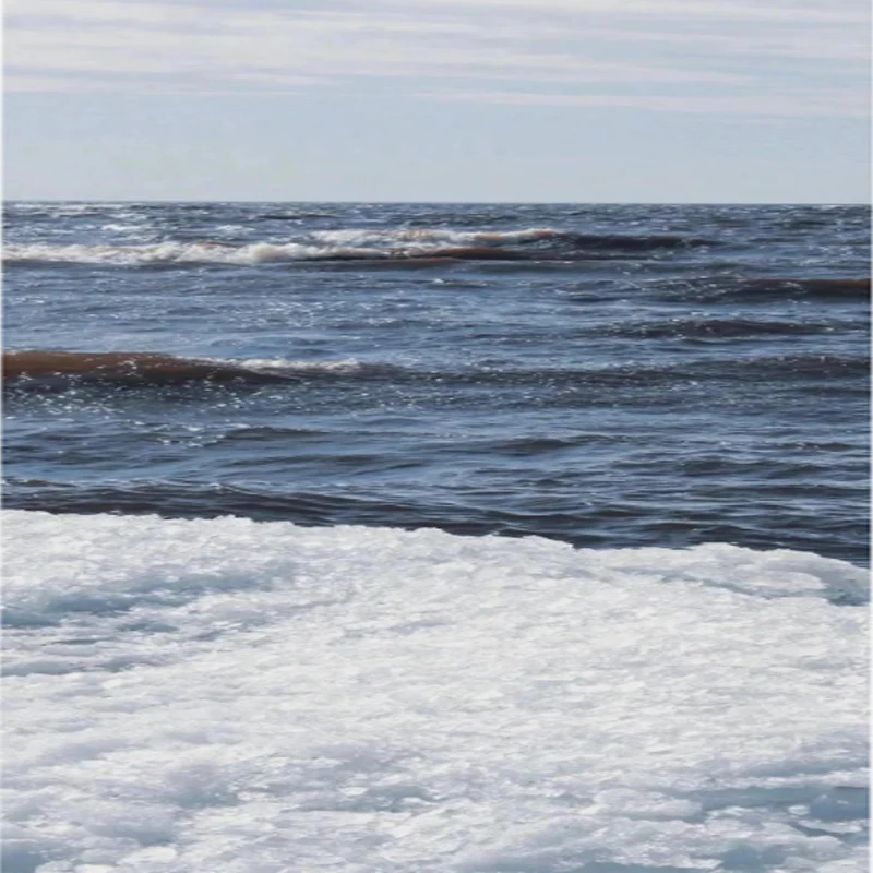 RadioLink T12D 12CH Trasmettitore RC 2.4GHz 2.8 pollici 4000M Distanza con ricevitore R12F per FPV Drone Ala fissa Auto Barca Robot