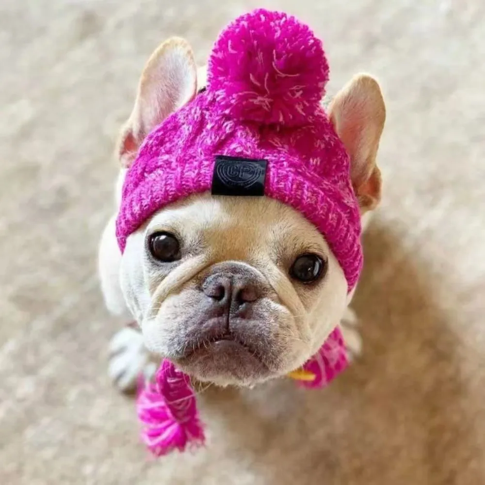 Wear Resistant Warm Dog Knitted Hats Windproof Ear Holes Design Winter Pet Caps Soft Fluffy Ball Cat Hat Chihuahua