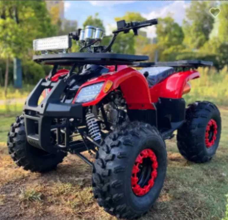 Factory Wholesale 125cc Air-Cooled 4-Stroke 1 Cylinder Chain Drive 2WD ATV with Electrical Starter CE Certified 65 km/h