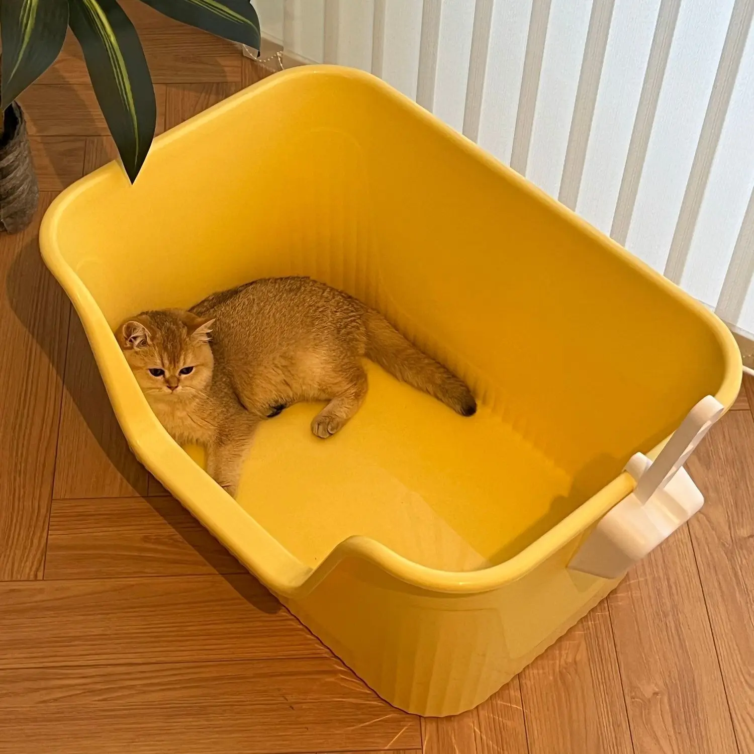 bac-a-litiere-semi-ferme-extra-large-ouvert-anti-deversement-toilettes-maine-coon-poupee-geante-poele-a-sable-fournitures-pour-animaux-de-compagnie