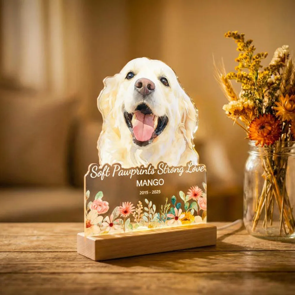 Personalized Custom Dog Cat Pet Photo Night Light Acrylic USB Lamp Color Changing Animal Picture Lamp Creative Home Decor Gift