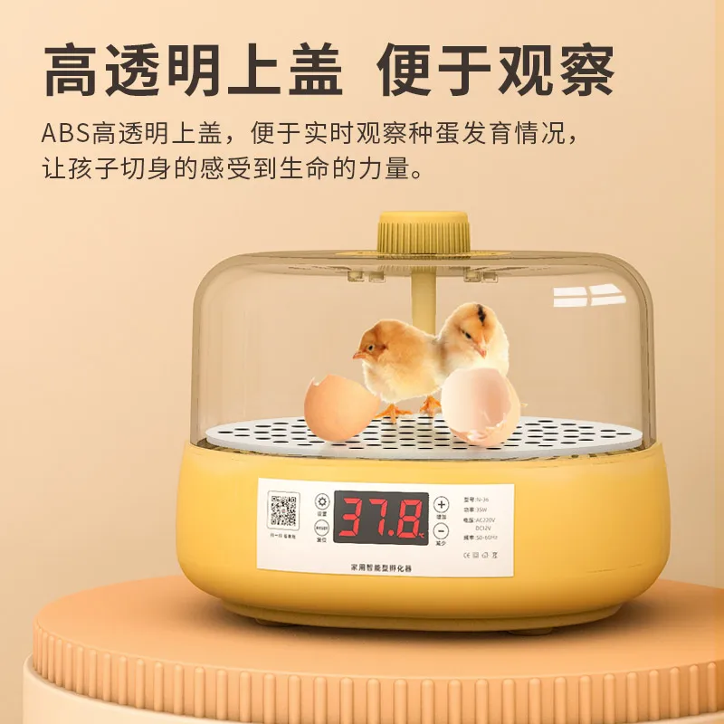 Incubadora de pollos automática, cama de agua inteligente para loro, hogar pequeño