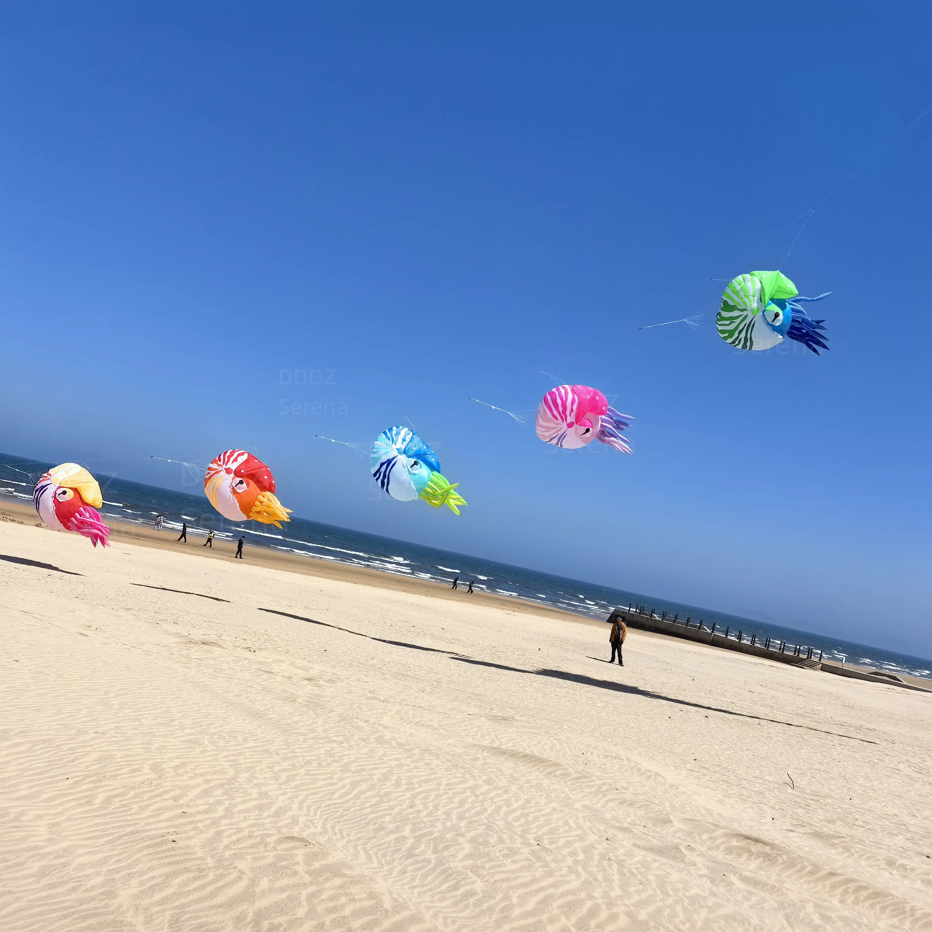 DDDZ LEDカタツムリノーチラスショー凧3Mリップストップナイロンラインランドリーペンダント大型ソフトインフレータブルナイトカイト昼夜兼用簡単飛行