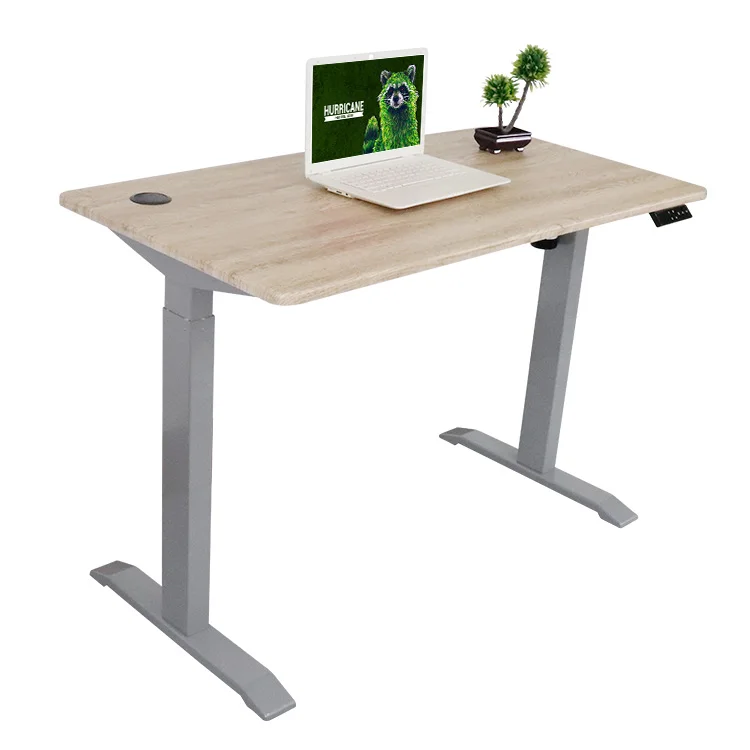 Ergonomic Electronic Height Adjustable Gaming Lifting Computer Table Frame Sit Stand Desktop Workstation