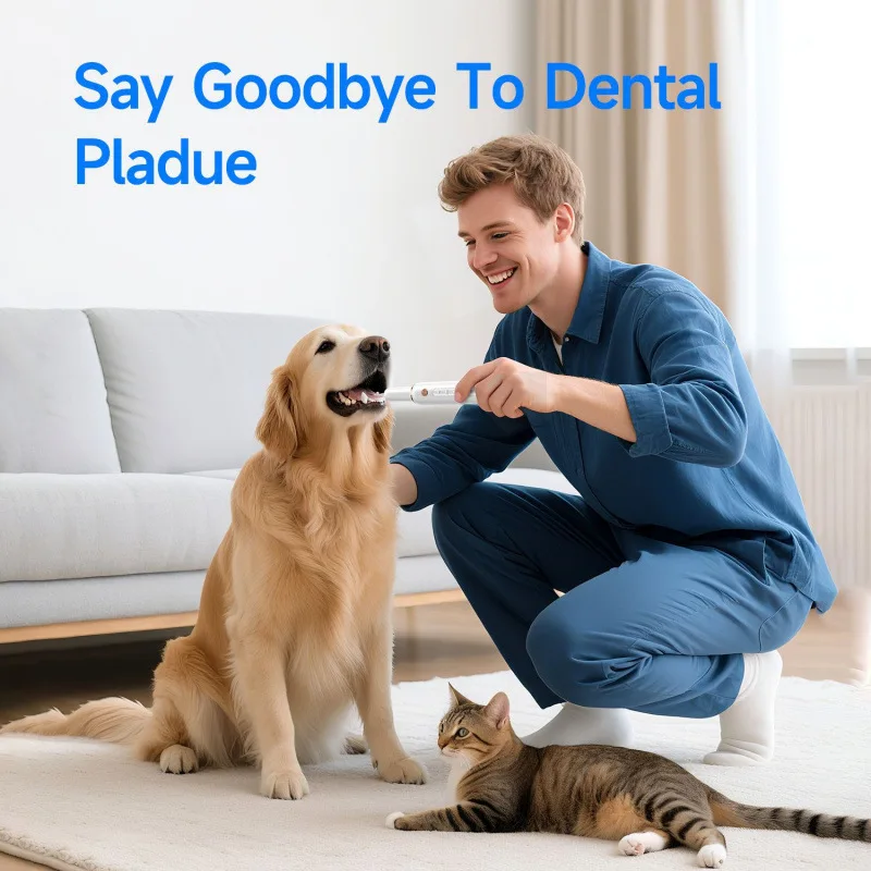 Pet electric dental cleaner, dog postpartum curved ultrasonic dental cleaner, desktop wholesale