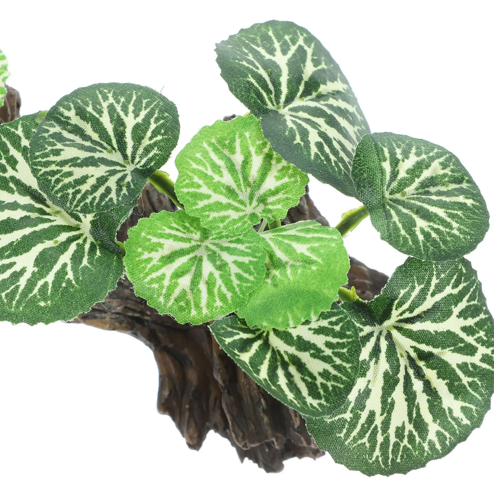 

Plant Decoration Enclosure Decorate Accessories Fish Tank Decorations Small