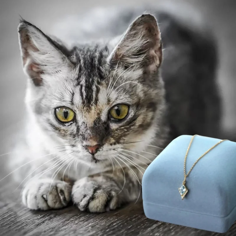 

Ожерелье из чистого серебра S925 с бриллиантами и небесно-голубым цирконом, женский легкий роскошный модный потрясающий кулон, цепочка на ключицу