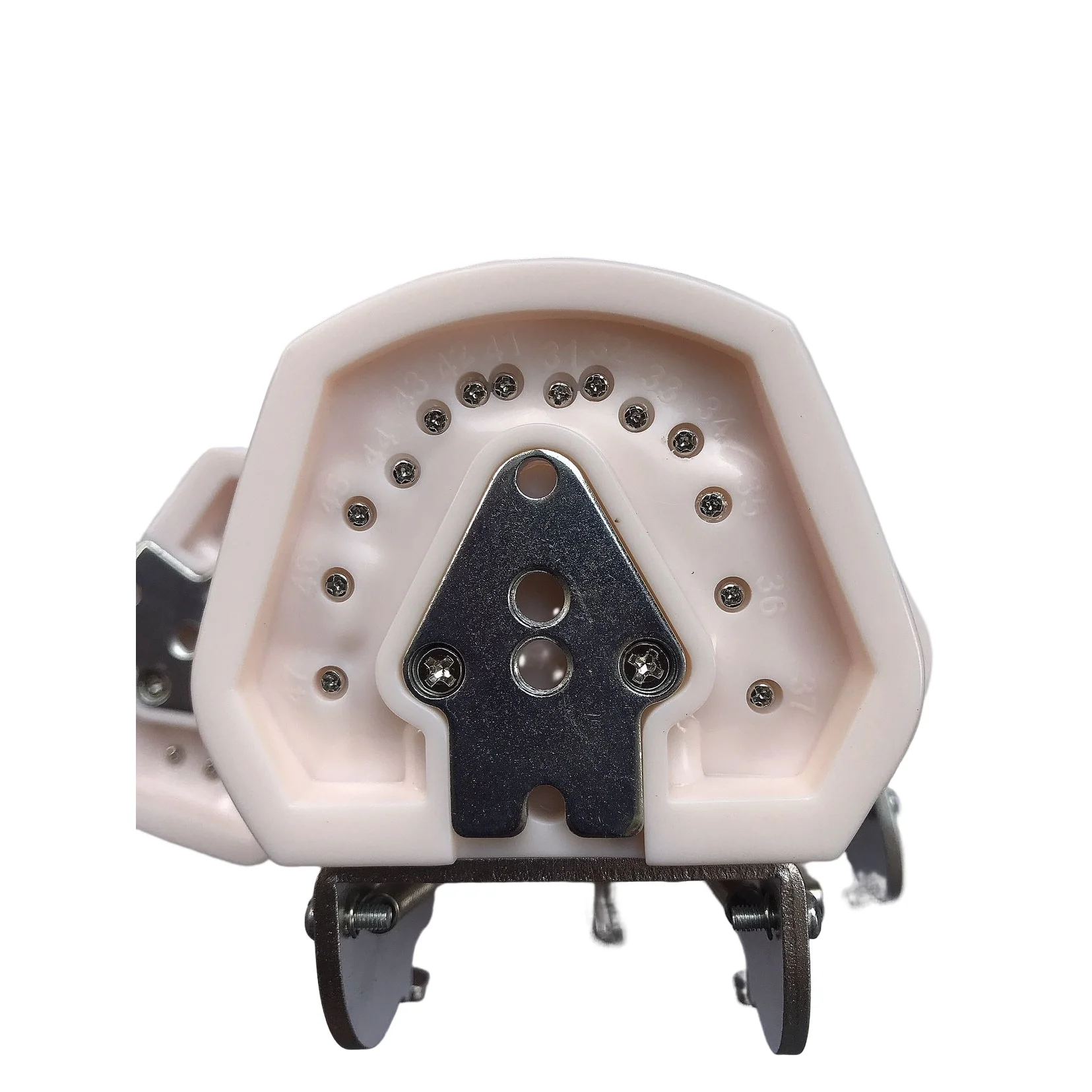 

Simulation Resin Dental Granules Teaching Display Model Detachable Soft Gingiva for Dental Practice Oral Simulation Tool