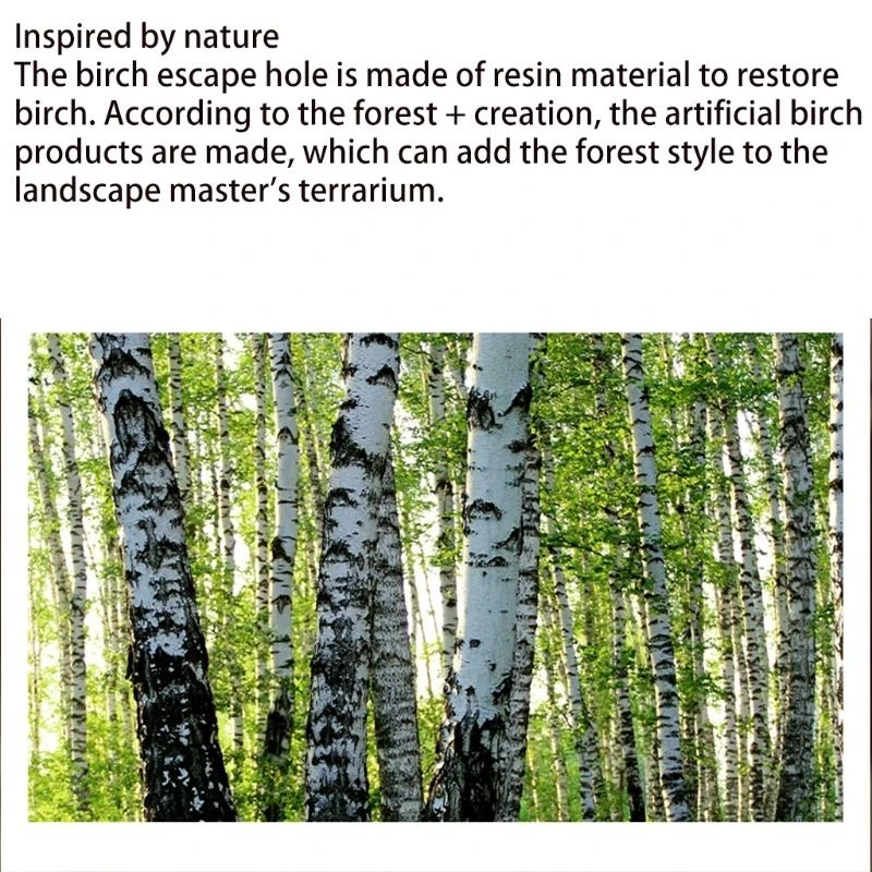 R1WA Hide Cave Artificiale Birch Log Aiuta l'allevamento per leopardo geco