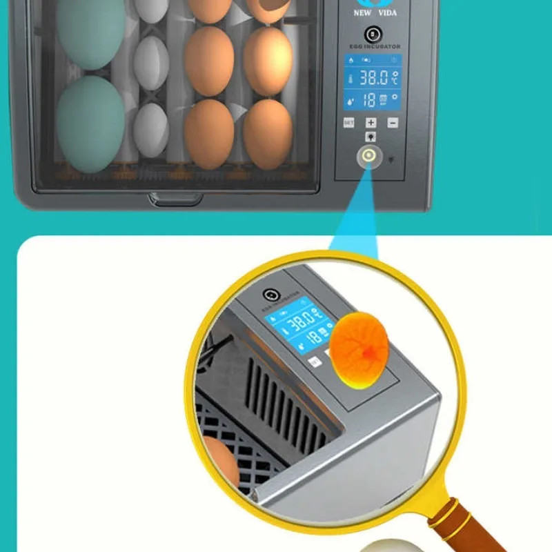 حاضنة ذكية أوتوماتيكية بالكامل حاضنة بيض منزلية صغيرة