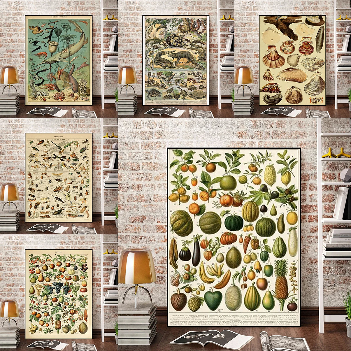 Vintage Classic Wall Art Plants Mushroom Medicine Flower Insect Butterfly Vegetable Pumpkin Carrot Tableau Decoration Mural Home