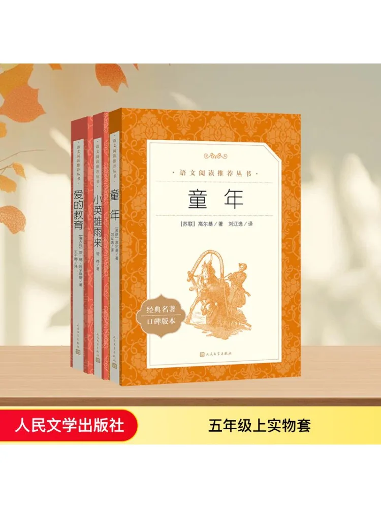 

Книга-Winshare Пятая класс Физический набор Детство Образование любви Маленький герой Кто в дожде