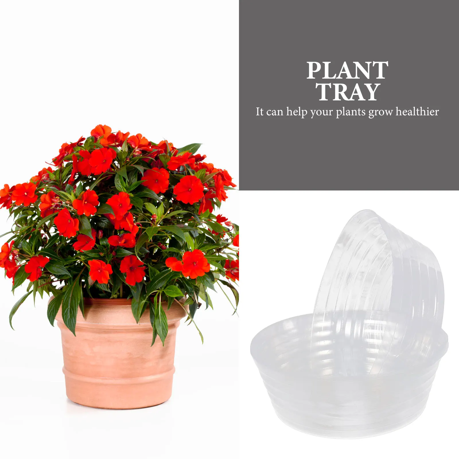 

6 Pcs Indoor Plants Flower Pot Tray Water for Saucer Potted Trays Transparent Flowerpot Base Planter
