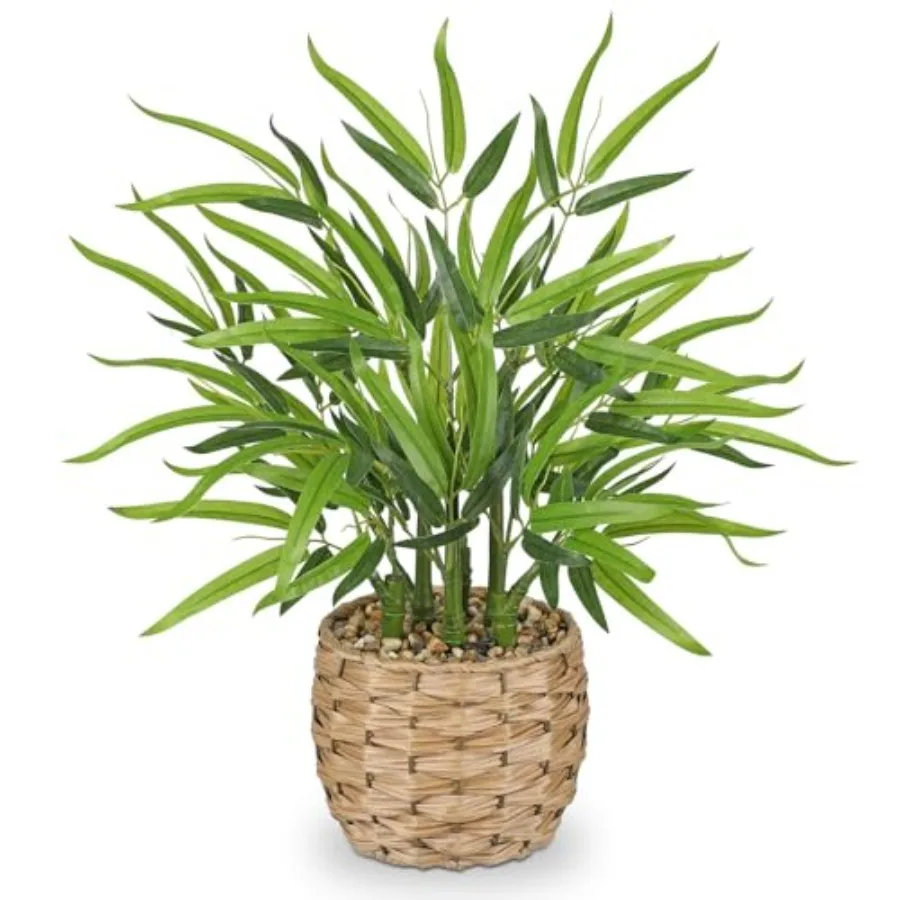 

19 inch Tall Artificial Bamboo Tree in Woven Pot for Indoor Decor Farmhouse Home Office Kitchen Counter Top Faux Lucky Money Tr