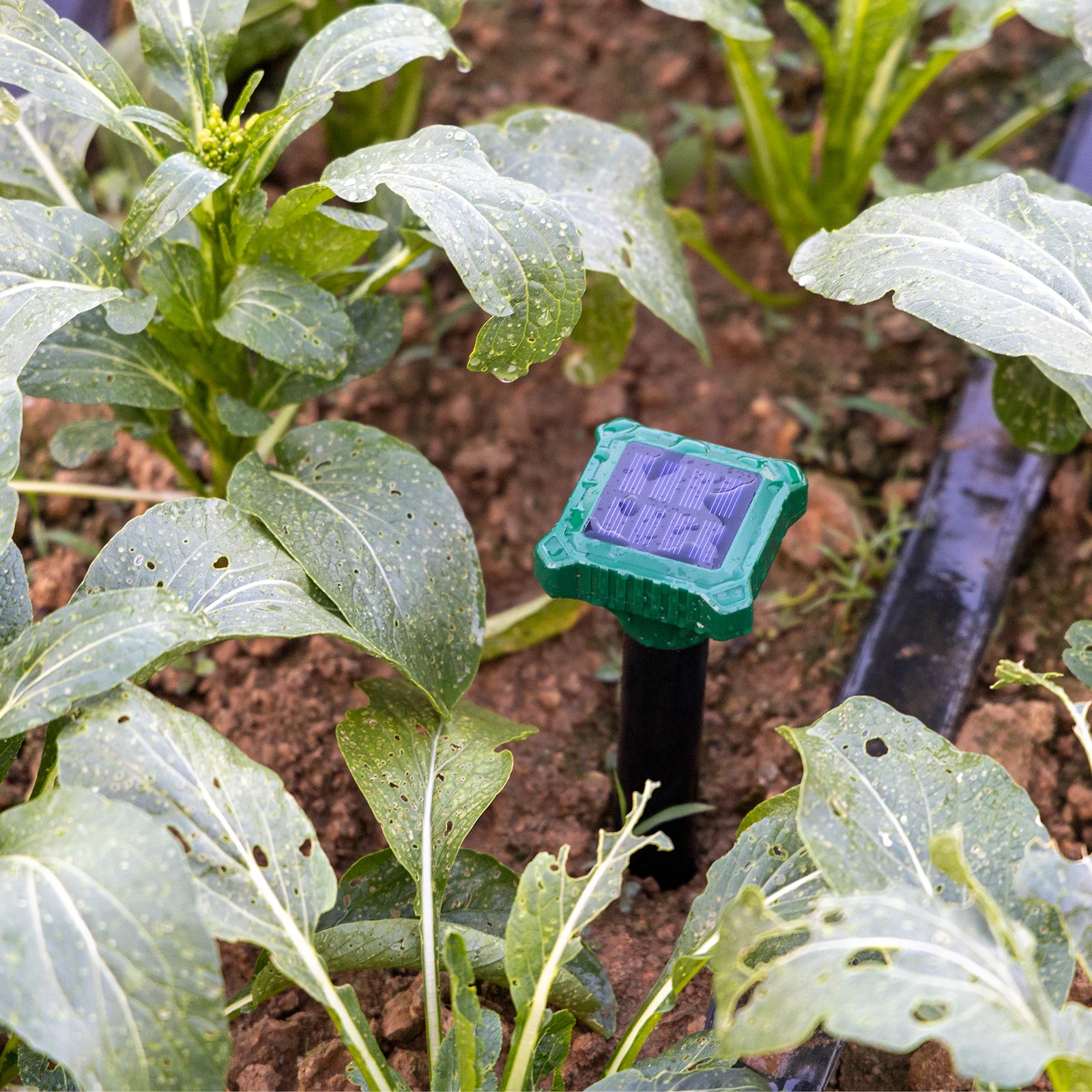 2025년 미국 재고 방수 2/4/8개입 소닉 태양열 두더지/뱀 퇴치 말뚝 야외용