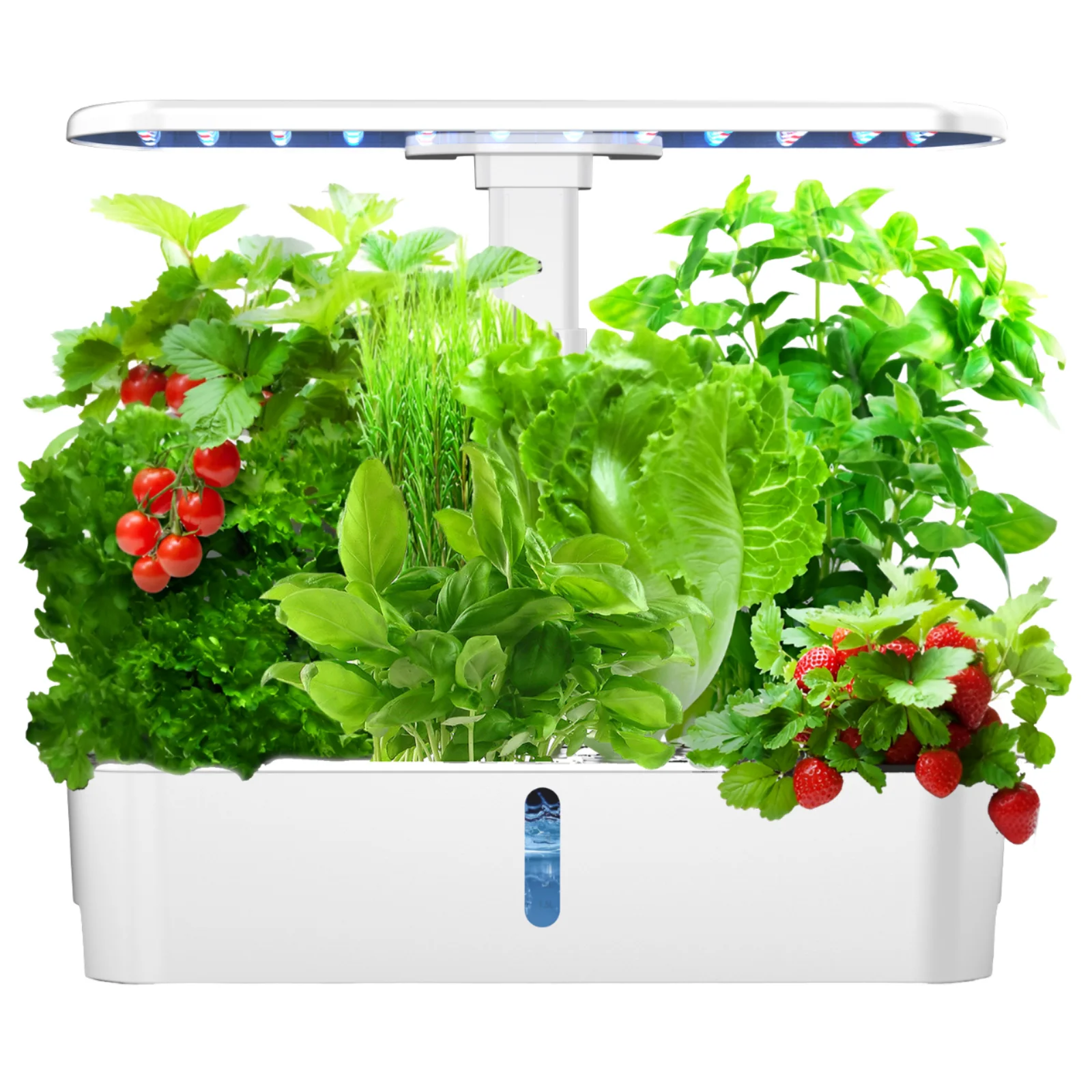 

Крытый набор для травяного сада с подсветкой для роста, набор для проращивания растений, настольная гидропонная посадковая машина