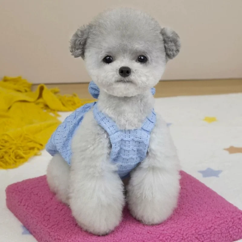 Ropa de verano para perros y gatos: faldas, chalecos y vestidos - imagen 4