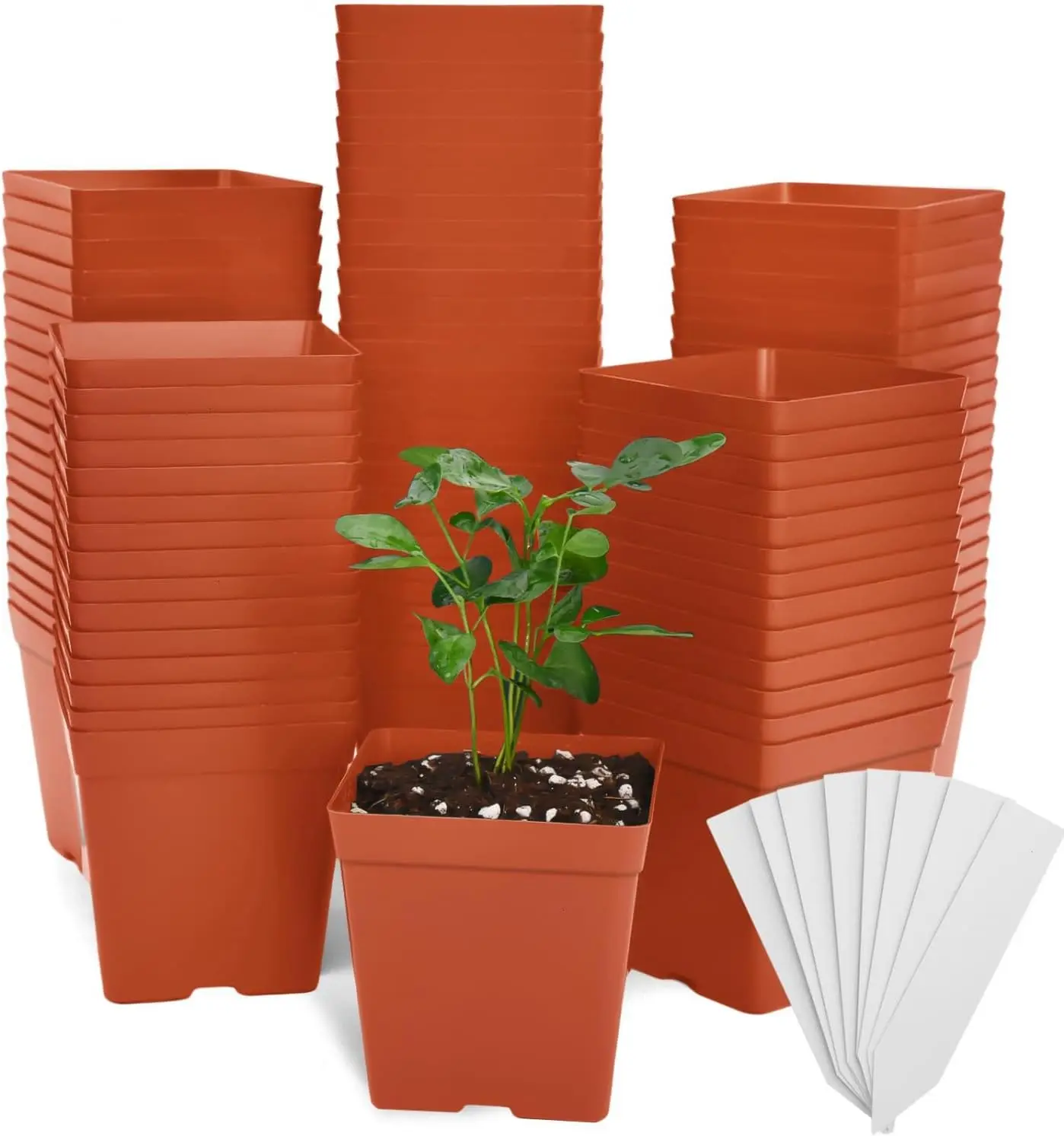 

100 Pack Red Square Nursery Pots with Drainage Holes 3.3 Inches Flexible Plastic Seedling Pots Square Pots for Plants, S