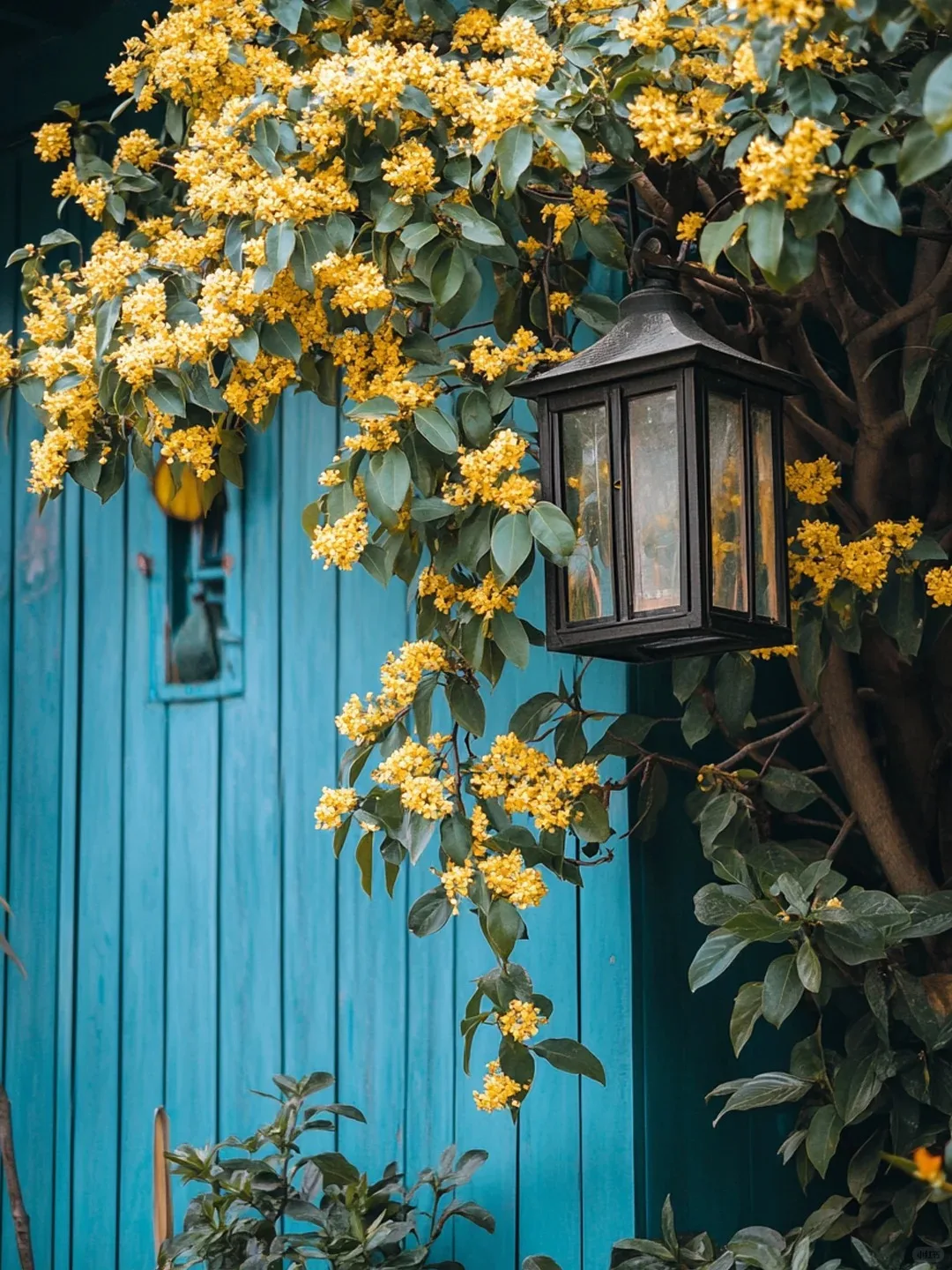 

8+256G For Porsche Cayenne 2010-2016 Intelligent System Car Radio Multimedia Player Navigation GPS Carplay Auto WIFI Head Unit