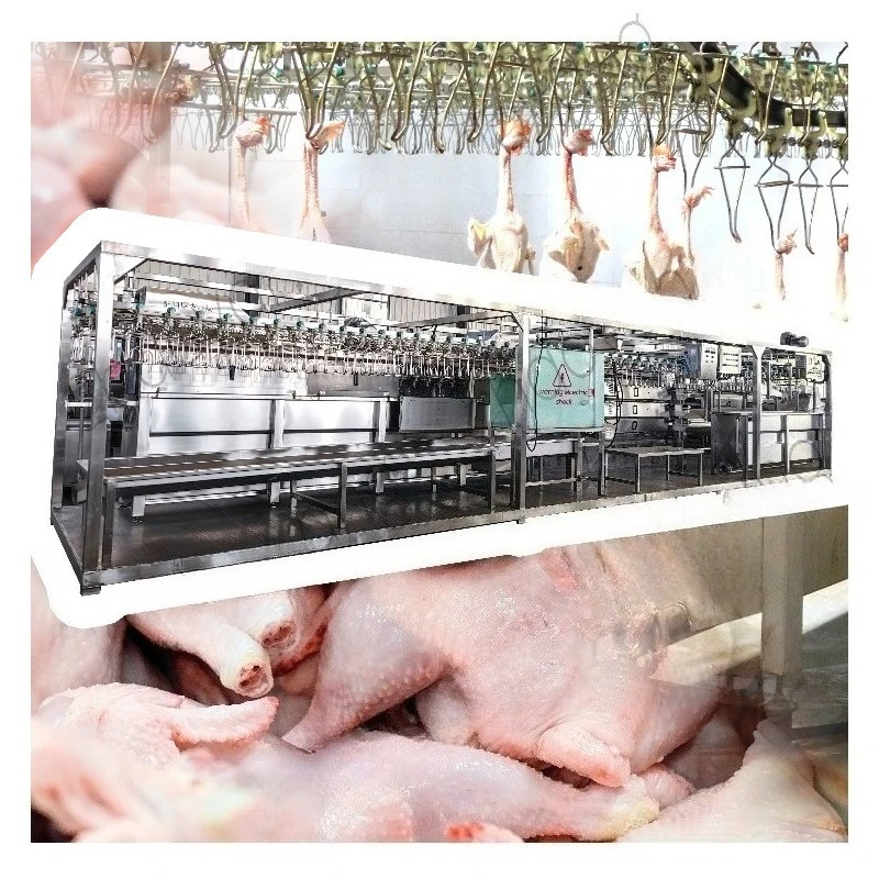 Customized Cone Plucker Machine Mobile Mini Abbatoir Slaughter House Halal Chicken Slaughtering Equipment Set Processing Lung