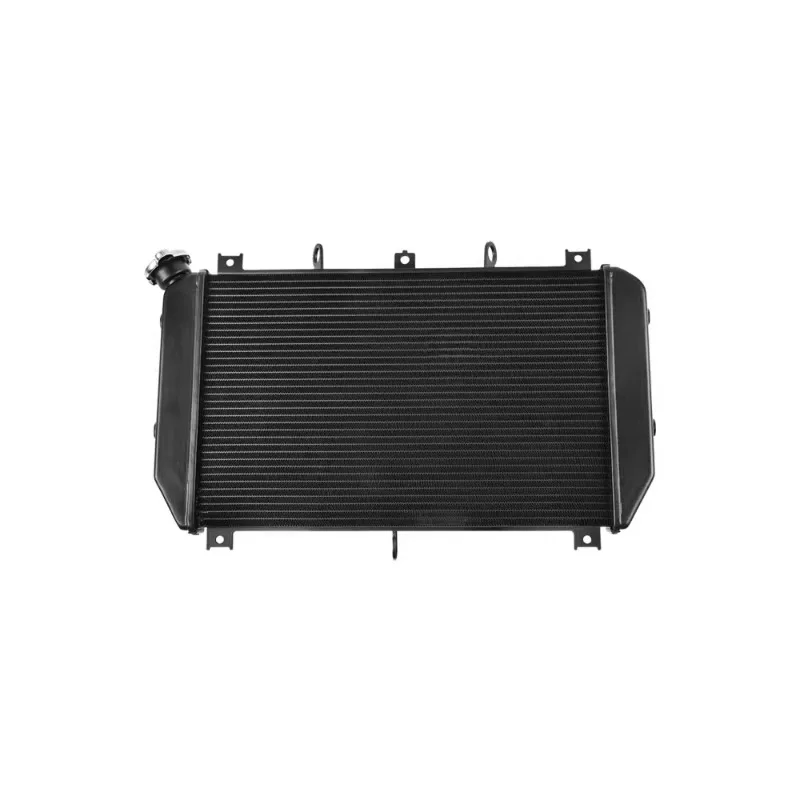 Applicable To 21-23 Kawasaki Z900RS Modified Water Tank Assembly Radiator Protective Original Car  Special Cooling System Parts