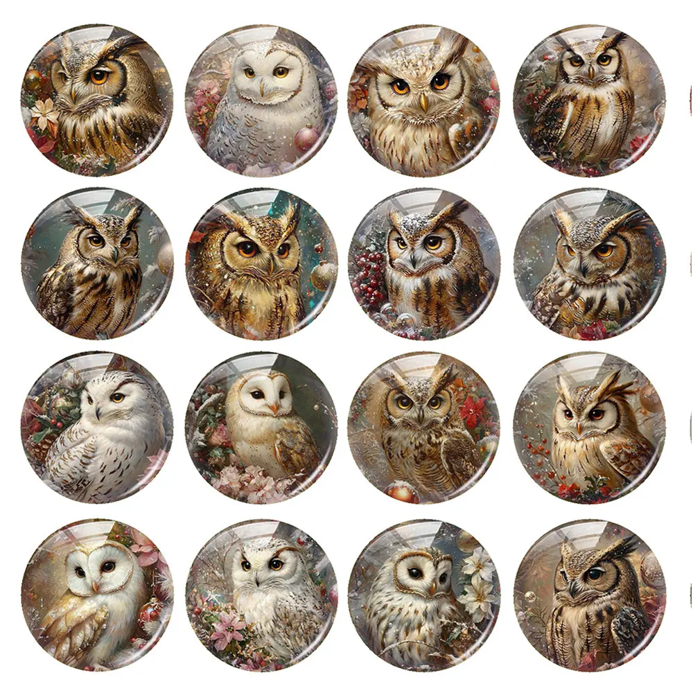 Random Mixed Round/Oval/Square Owls Bird Winter Photo Glass Cabochon Flatback Demo Cameo For Diy Jewelry Making Handmade