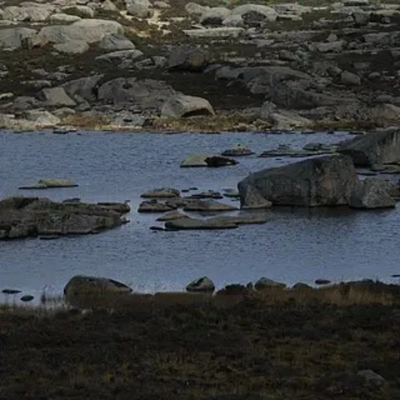 

iFlight XING2 2207 1750KV 6S FPV мотор Unibell с валом из титанового сплава 5 мм для Drone Nazgul Evoque F5 FPV