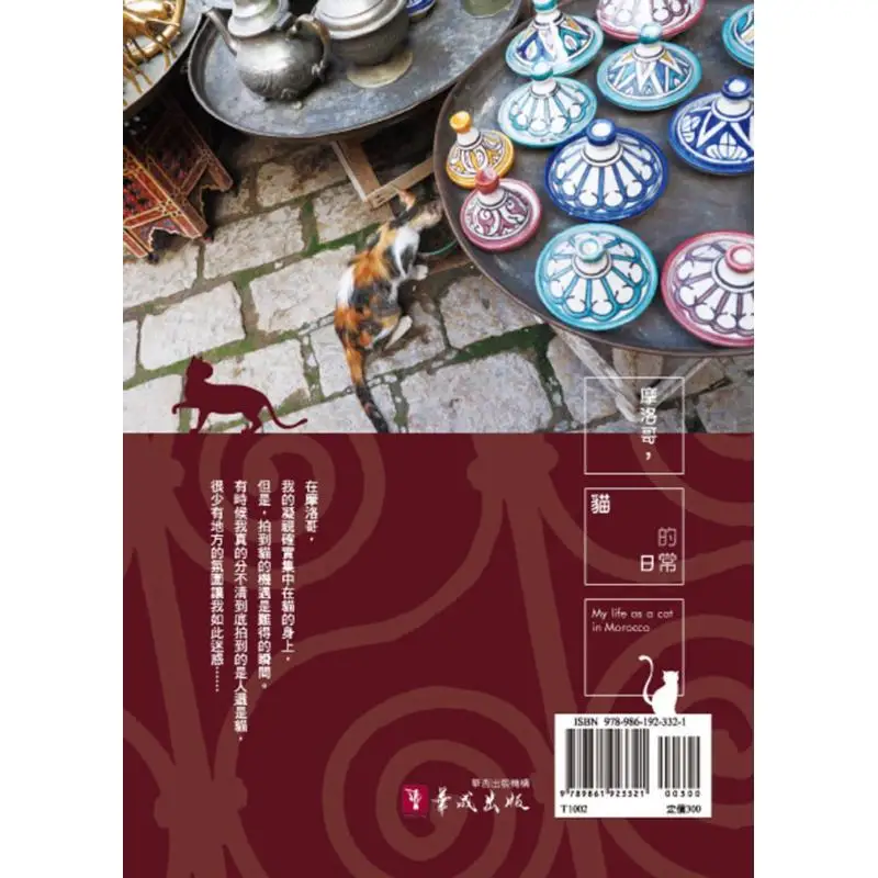 Morocco The Daily Life Of Cats Li Yuhong Huacheng Publishing 9789861923321 Book