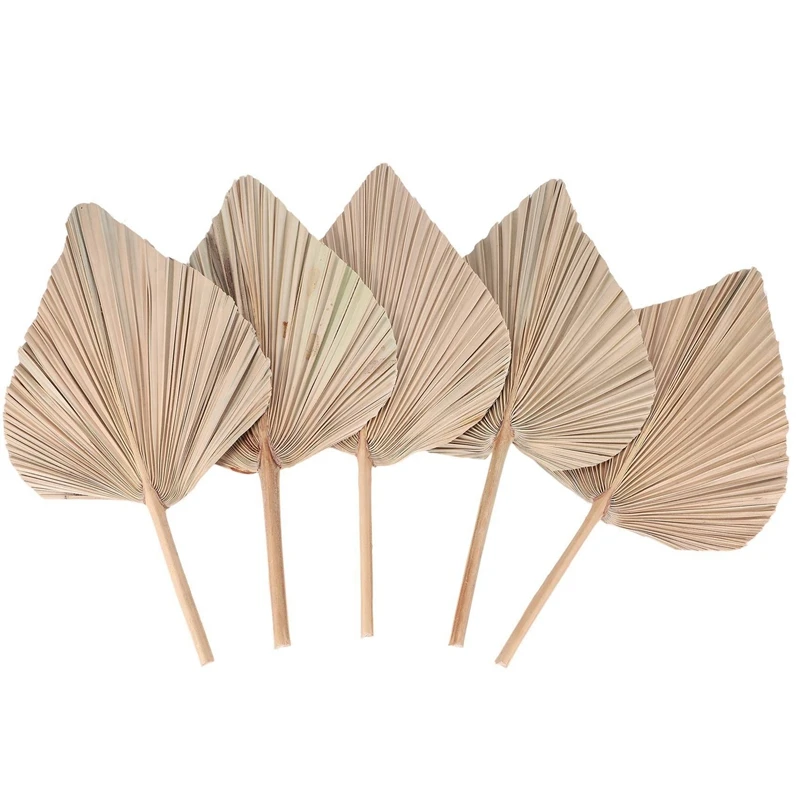 A013 Dried Palm Leaves Room Decor 5 Pieces - 18Inch H x 10Inch W Large Natural Palm Leaf Decor for A Beautiful Boho Look
