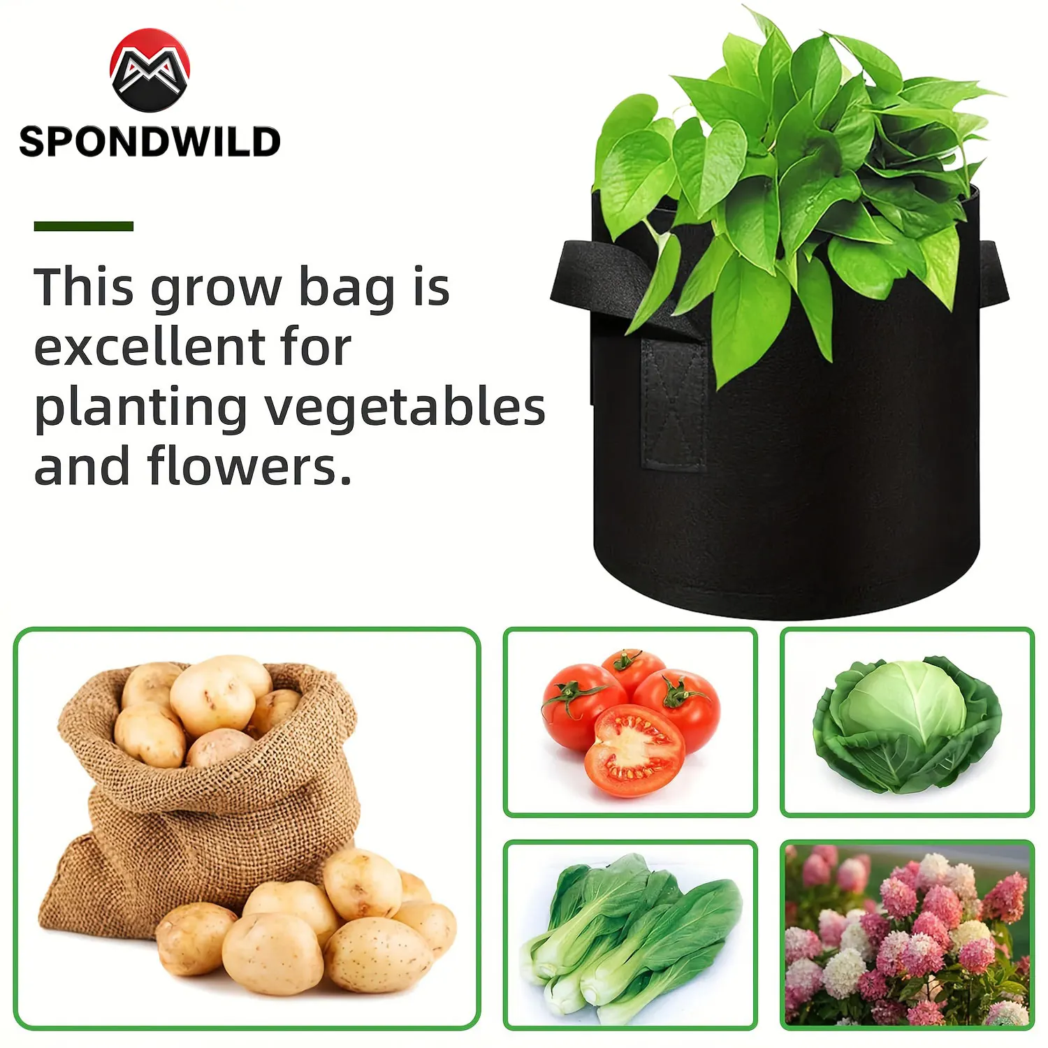 Thumbnail 2 - #9 New Plant Pots Arrivals