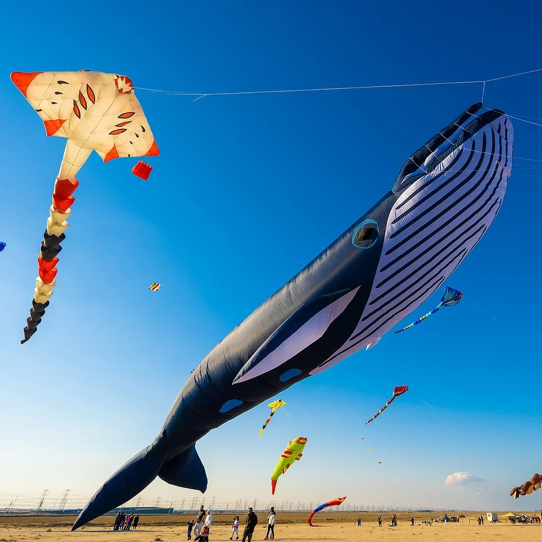 

30D 9M Whale Kite Hanging Kite Exhibition Weifang Kite Factory Inflatable Alien Shark Kites Professional Competition Easy to Fly