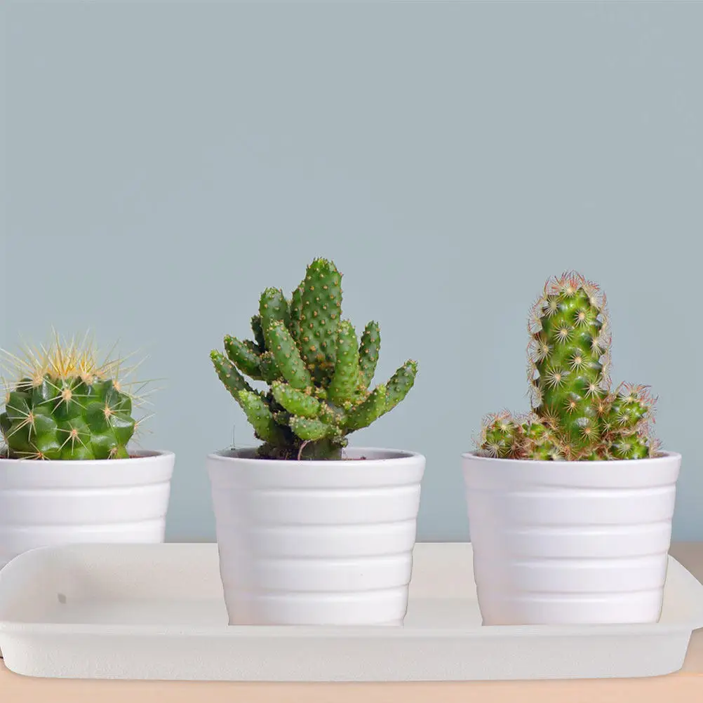 

Набор из 4 прямоугольных поддонов для цветочных горшков, бежевые, из утолщенного полипропилена, с углубленным дизайном, для садовых принадлежностей и удержания воды