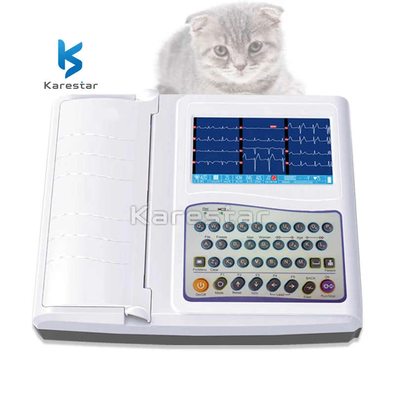 Cheap Price 12 Leads EKG System Surgical Veterinary 12 Channel Touch Screen Ecg Device