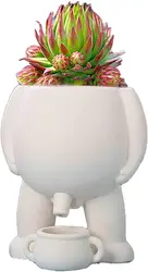 Pot de pipi de nouveauté, jardinière de vase drôle de pipi, succulente, décor à la maison, cadeau drôle de jardin