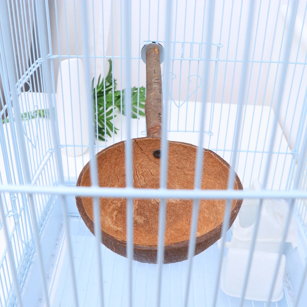 

Coconut Bowl Parrot Bowl Bird Bowl Bird Toy Coconut Shell Toy for Parrot
