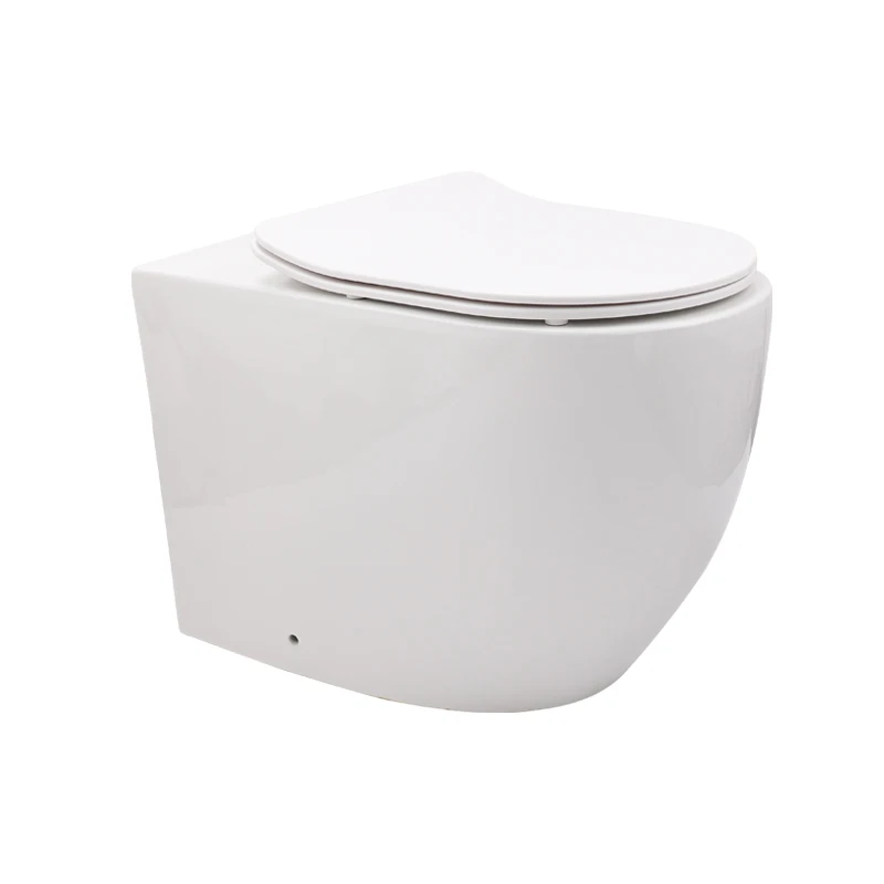 

Bathroom Wall Mounted Concealed Tank Ceramic Toilet One Piece Wall Hung Toilet