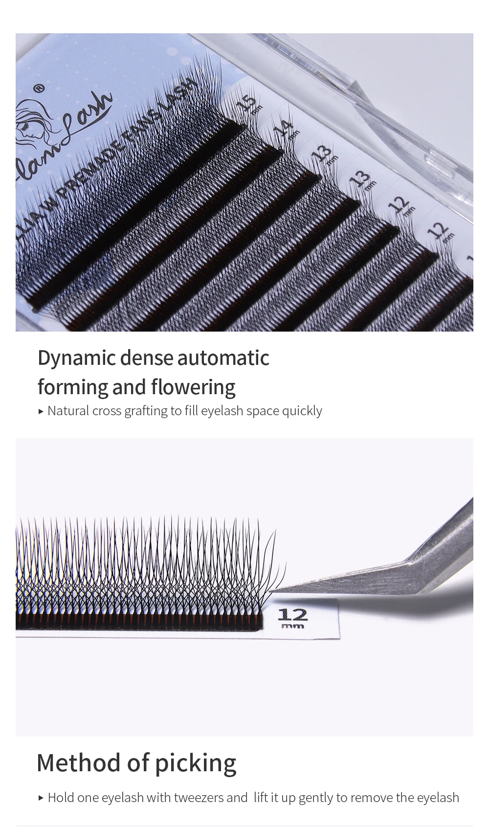 GLAMLASH C/D/L/LU/M Camellia 4D 5D W Wimpernverlängerung Großhandel vorgefertigtes Volumen 12 Reihen W-Stil Einzelwimpern natürlich weich – Detail 5
