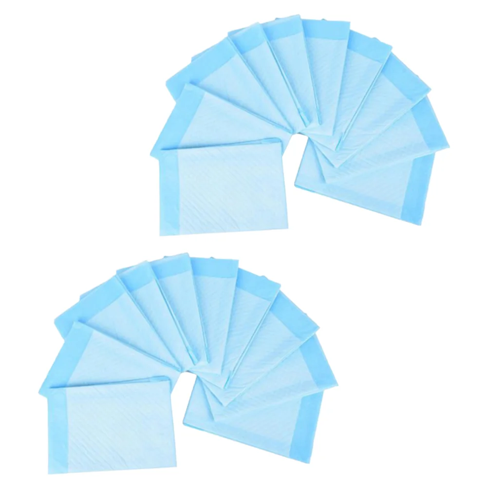 

20 Pcs Patient Accessories Pee Absorbing Mat Urinary Incontinence Nursing Pad Adults Diaper