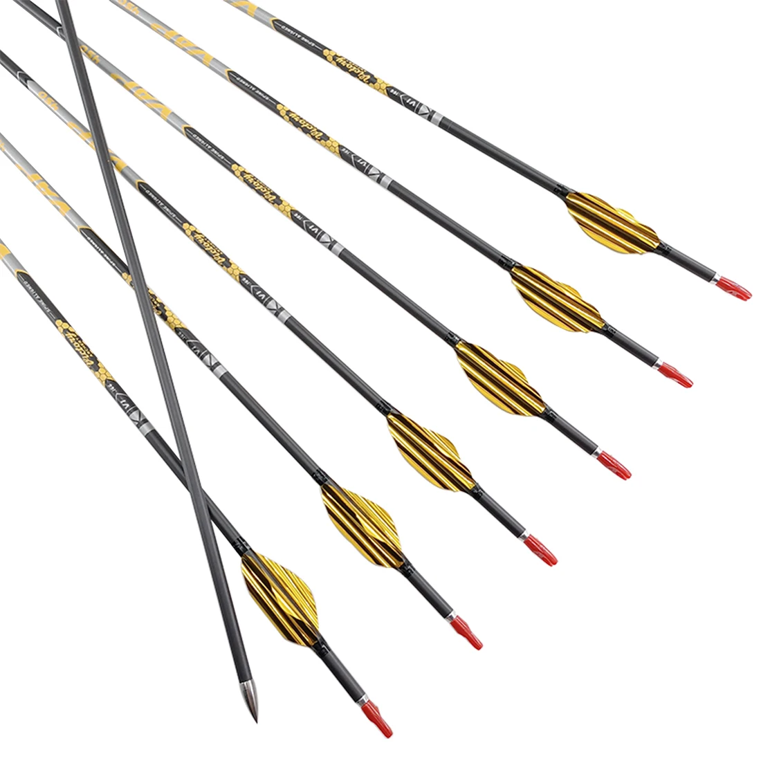 

12x Archery V1 Carbon Arrows Shaft Compound Recurve Bow Hunting Vanes Nock Points Arrow Archery Accessories