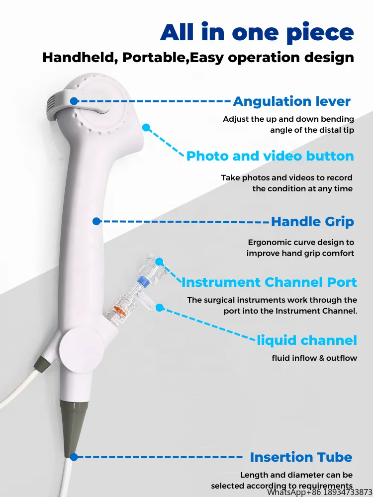 Medical imaging system animal Bron URO Cystoscope urology disposable cystoscope