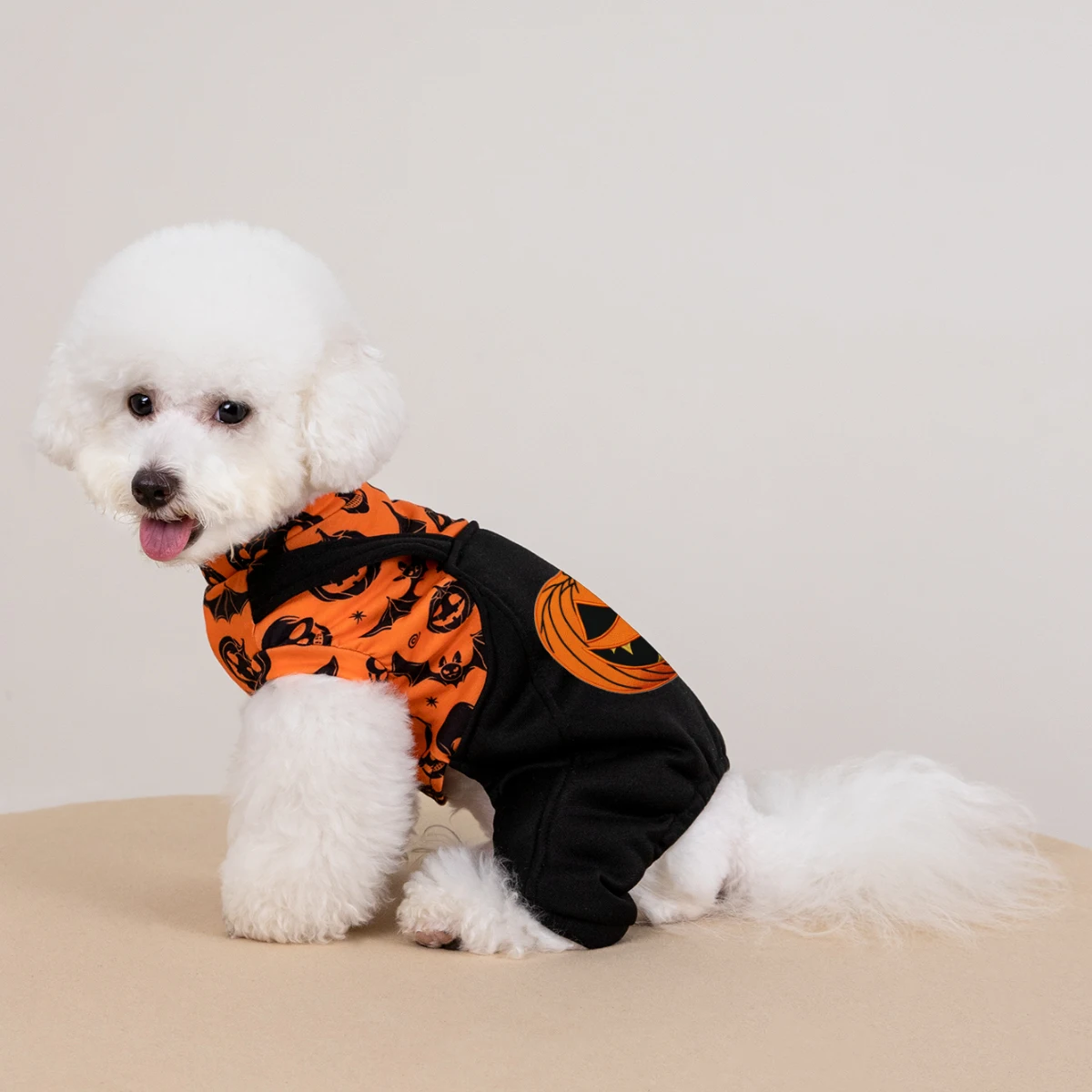 Halloween-Kostüm für Hunde, Kürbis-Schädel-Print, vierbeiniger Haustier-Overall für kleine Hunde, Welpen-Feiertagsoutfit – Detail 2